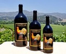 2013 Etched Double Magnum Display